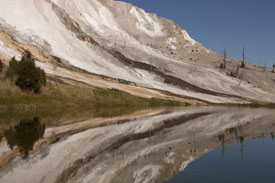 reflection pool